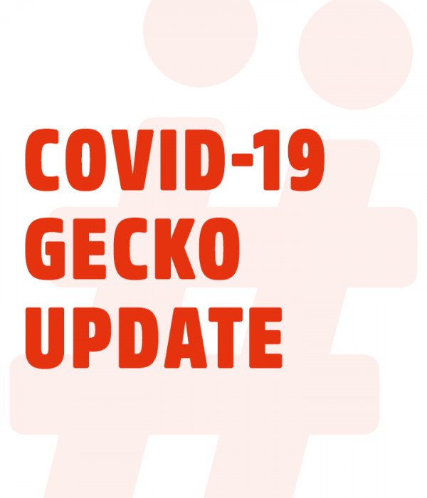 COVID-19 Gecko update